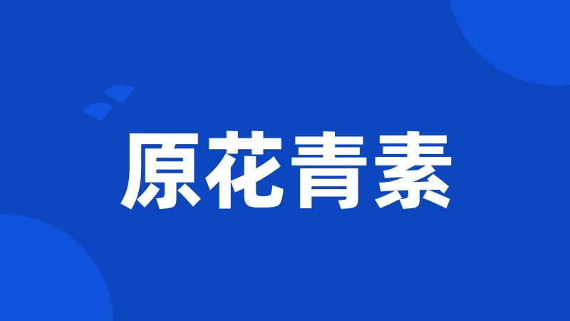 原花青素