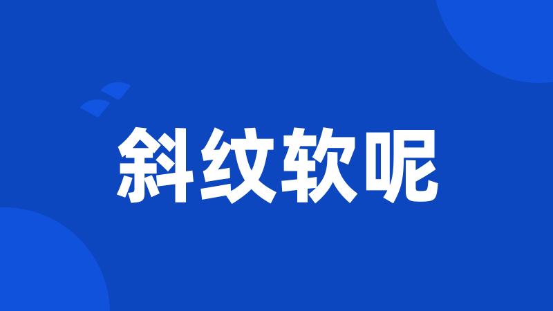 斜纹软呢