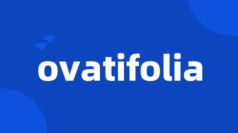 ovatifolia