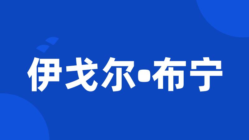 伊戈尔•布宁