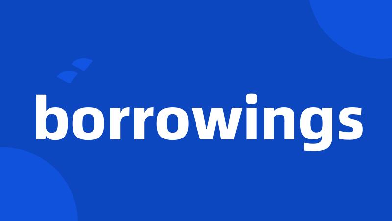 borrowings