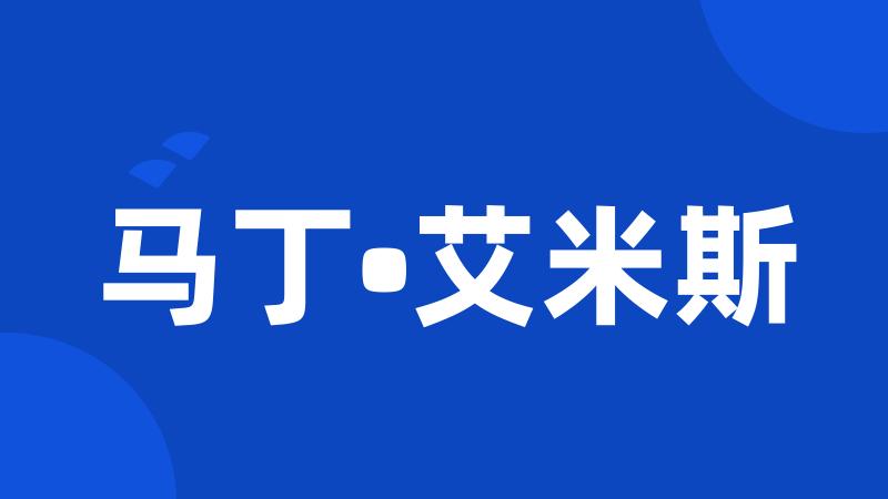 马丁•艾米斯