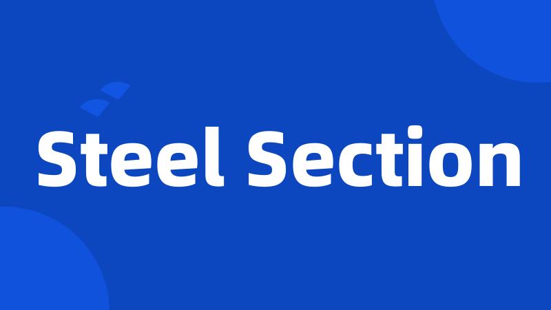 Steel Section