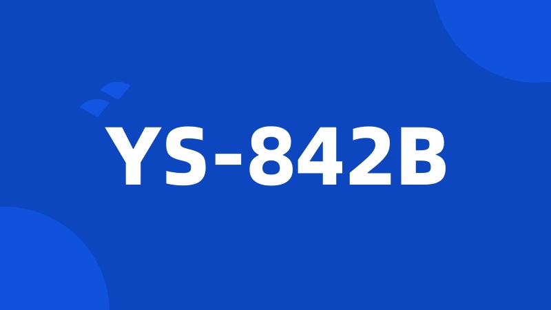 YS-842B