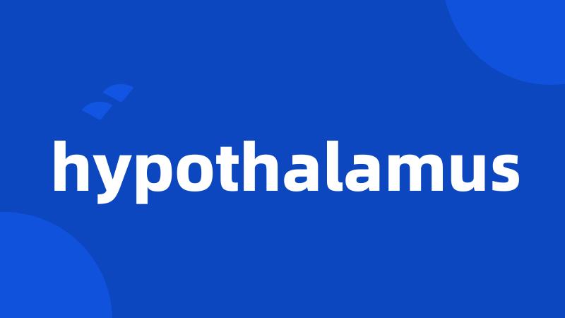 hypothalamus