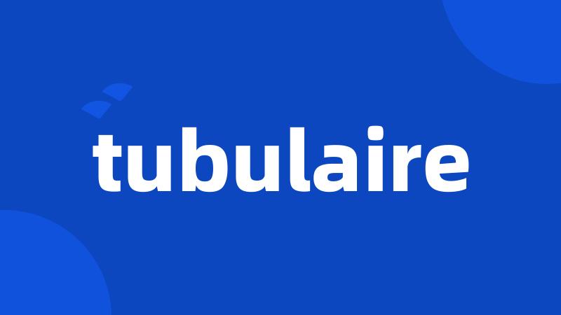 tubulaire