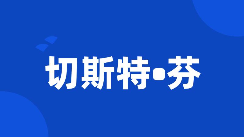 切斯特•芬