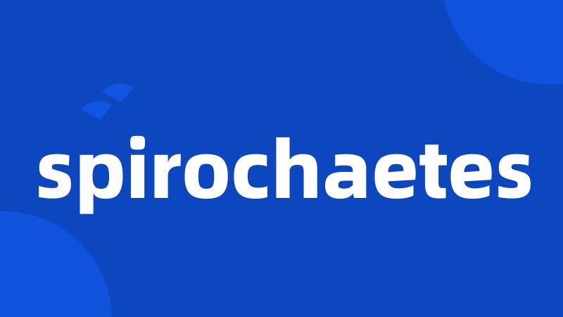 spirochaetes