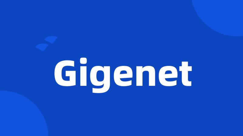 Gigenet