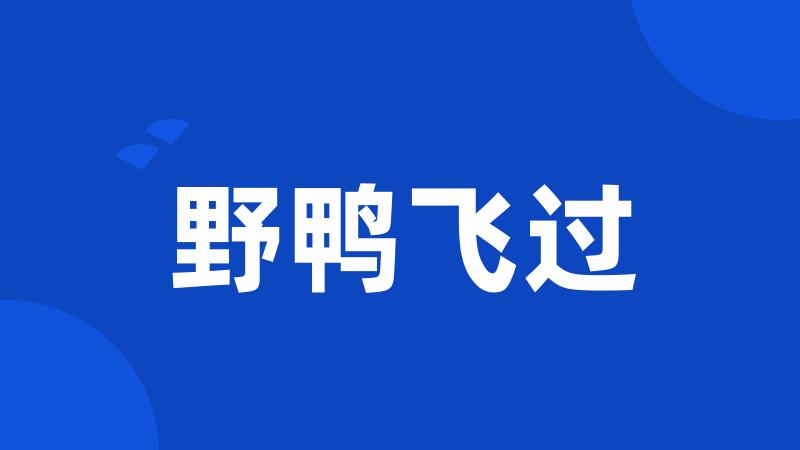野鸭飞过