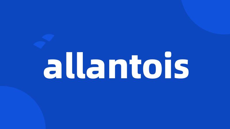 allantois