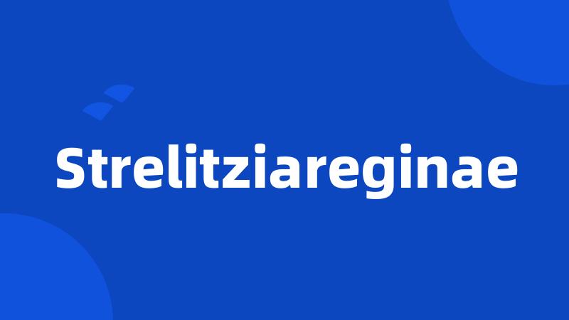 Strelitziareginae