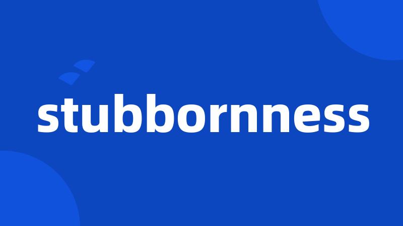 stubbornness