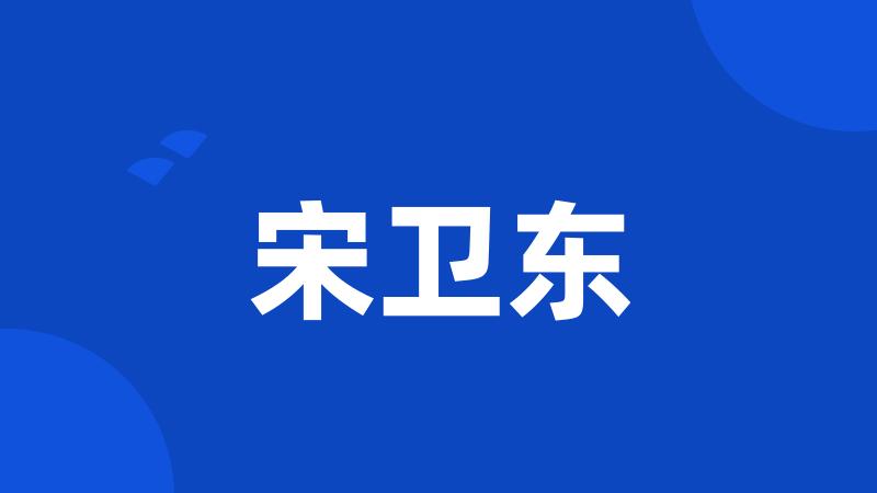 宋卫东