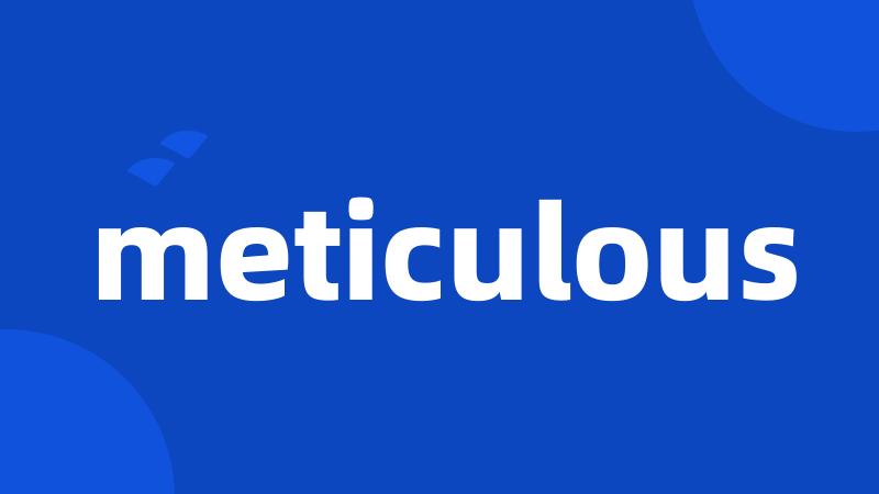 meticulous
