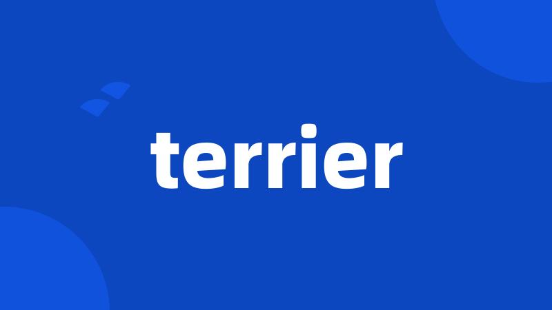 terrier