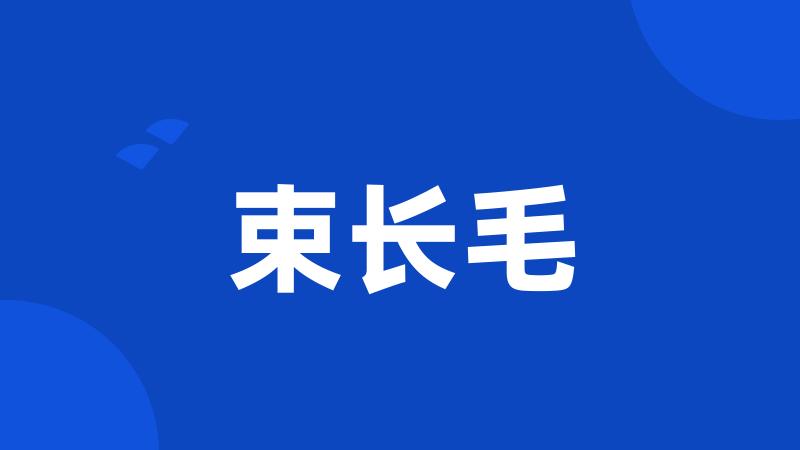 束长毛