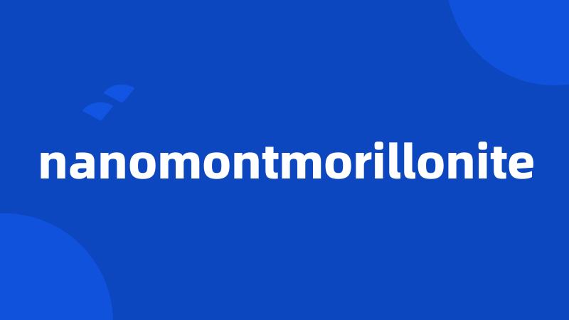 nanomontmorillonite