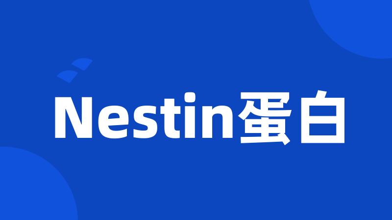 Nestin蛋白
