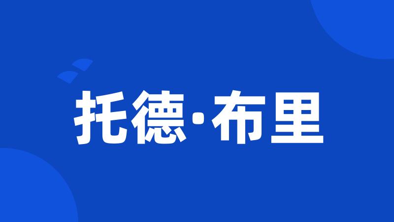 托德·布里