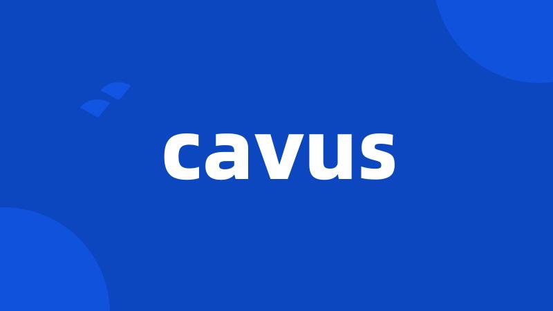cavus