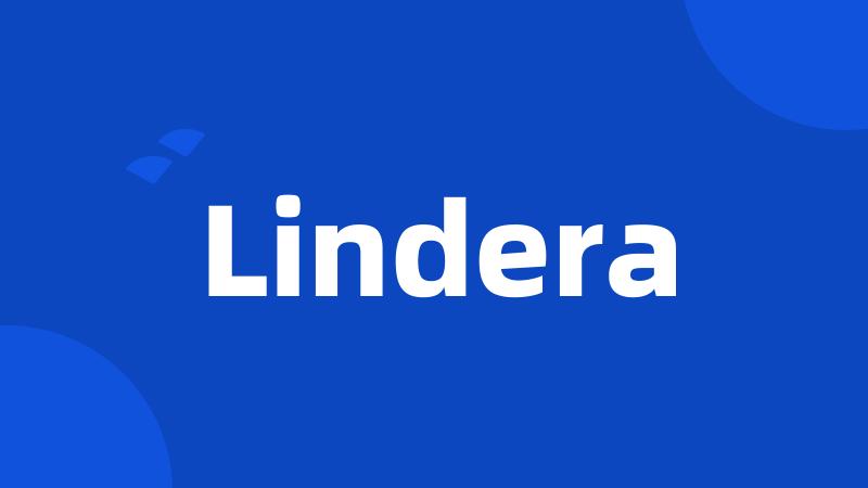 Lindera