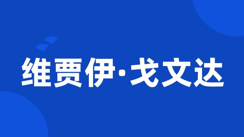 维贾伊·戈文达