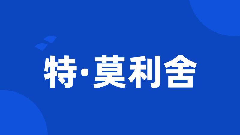 特·莫利舍