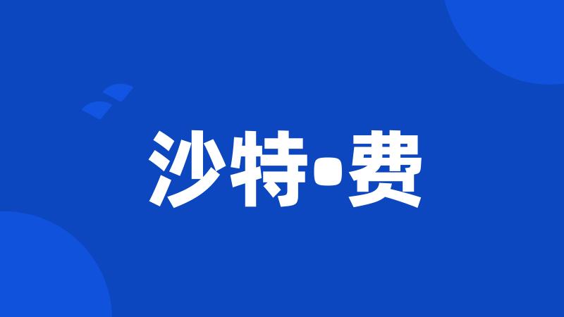 沙特•费