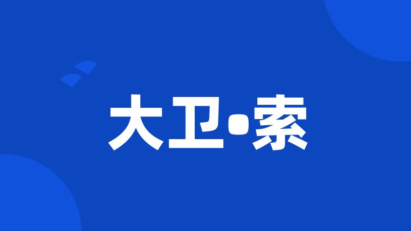 大卫•索