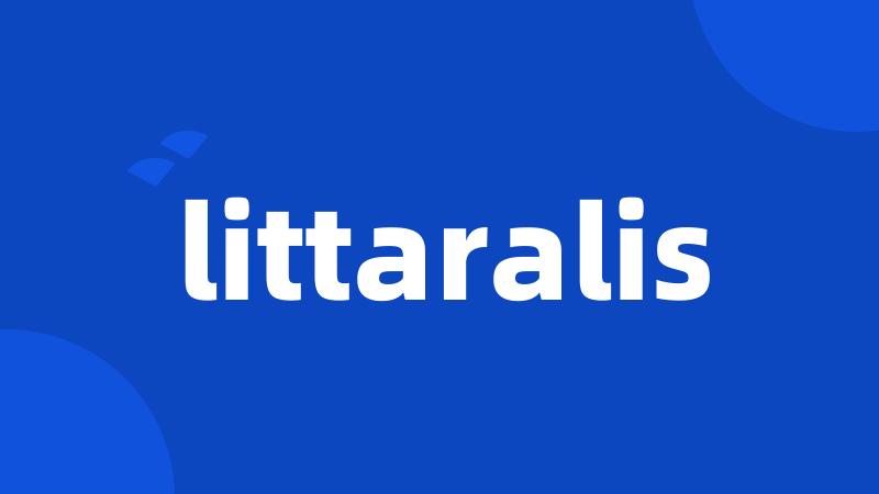 littaralis
