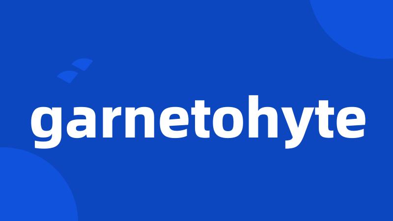 garnetohyte