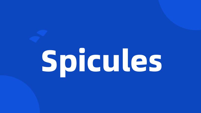 Spicules