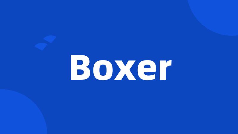 Boxer