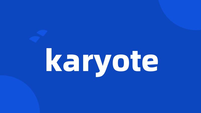 karyote