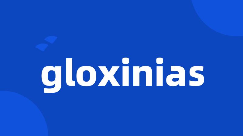 gloxinias
