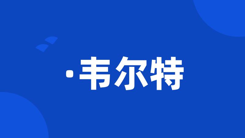 ·韦尔特