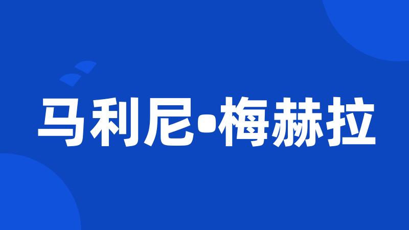 马利尼•梅赫拉