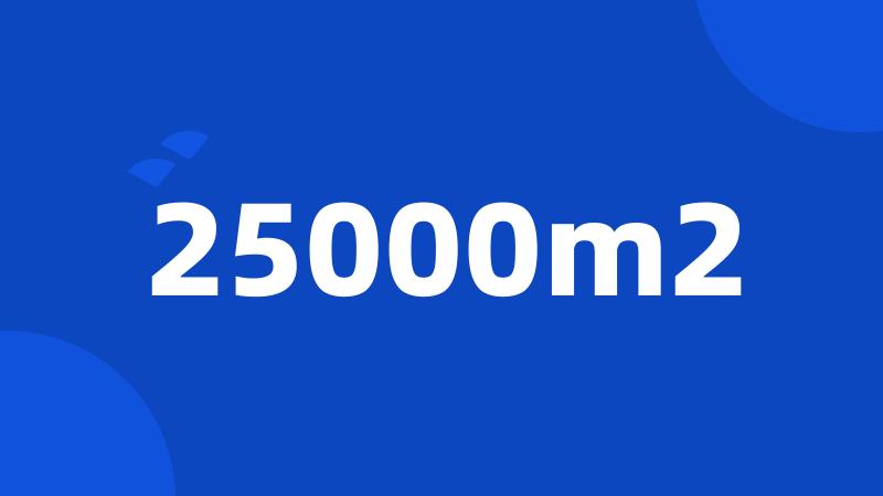 25000m2