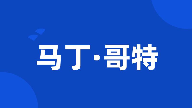马丁·哥特