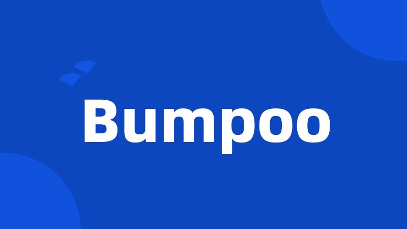 Bumpoo