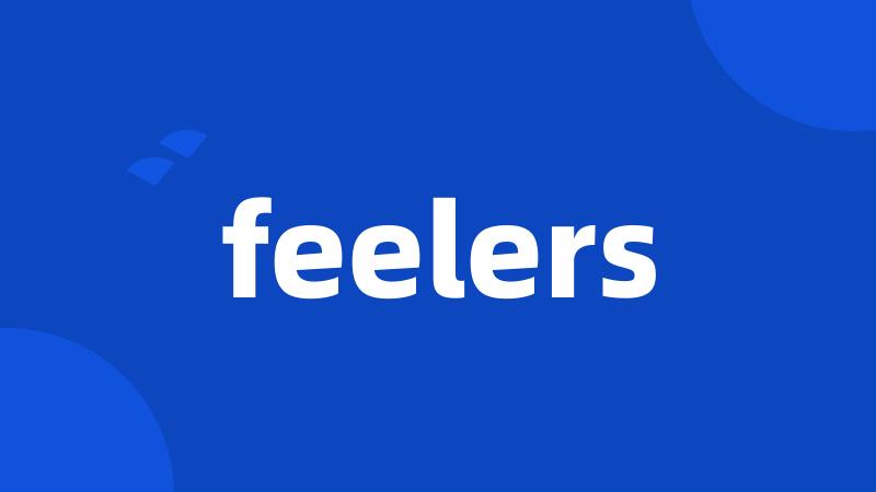 feelers