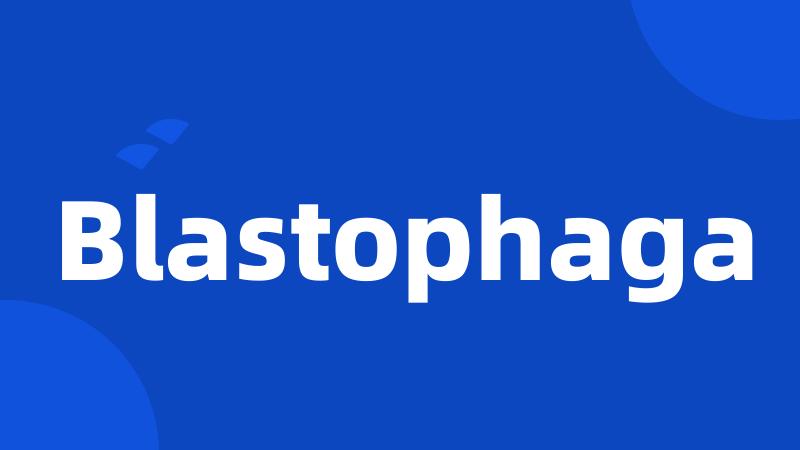 Blastophaga