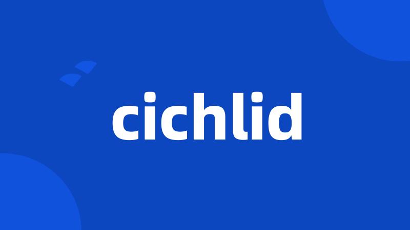 cichlid