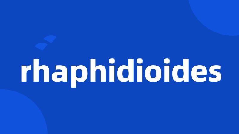 rhaphidioides