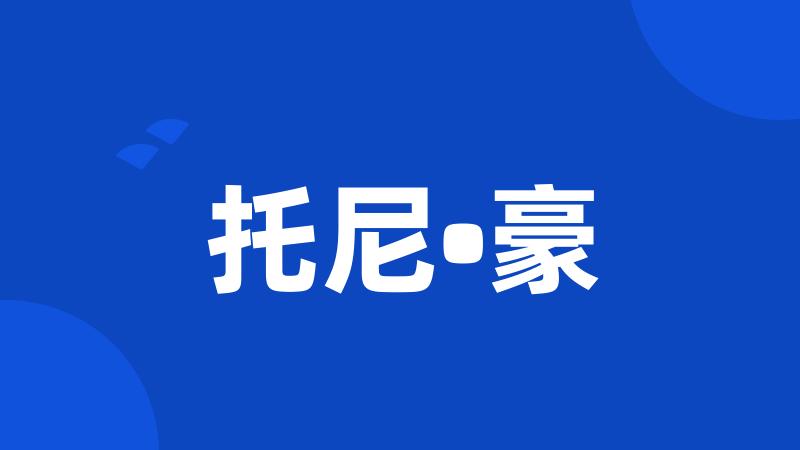 托尼•豪