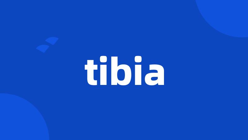 tibia