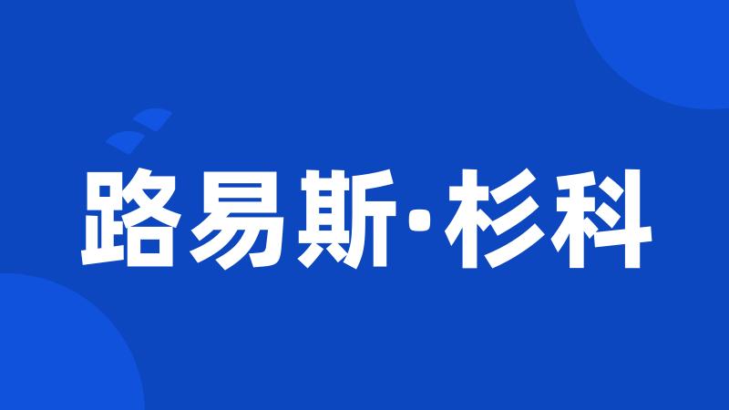 路易斯·杉科