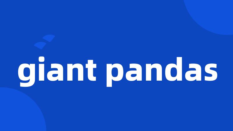 giant pandas