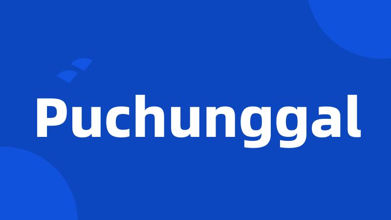 Puchunggal